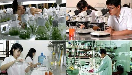 GẮN KHOA HỌC VỚI SẢN XUẤT