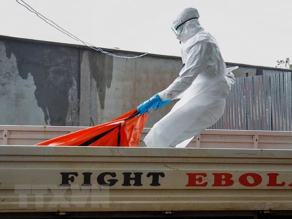 Congo xác nhận 3 ca nhiễm virus Ebola mới