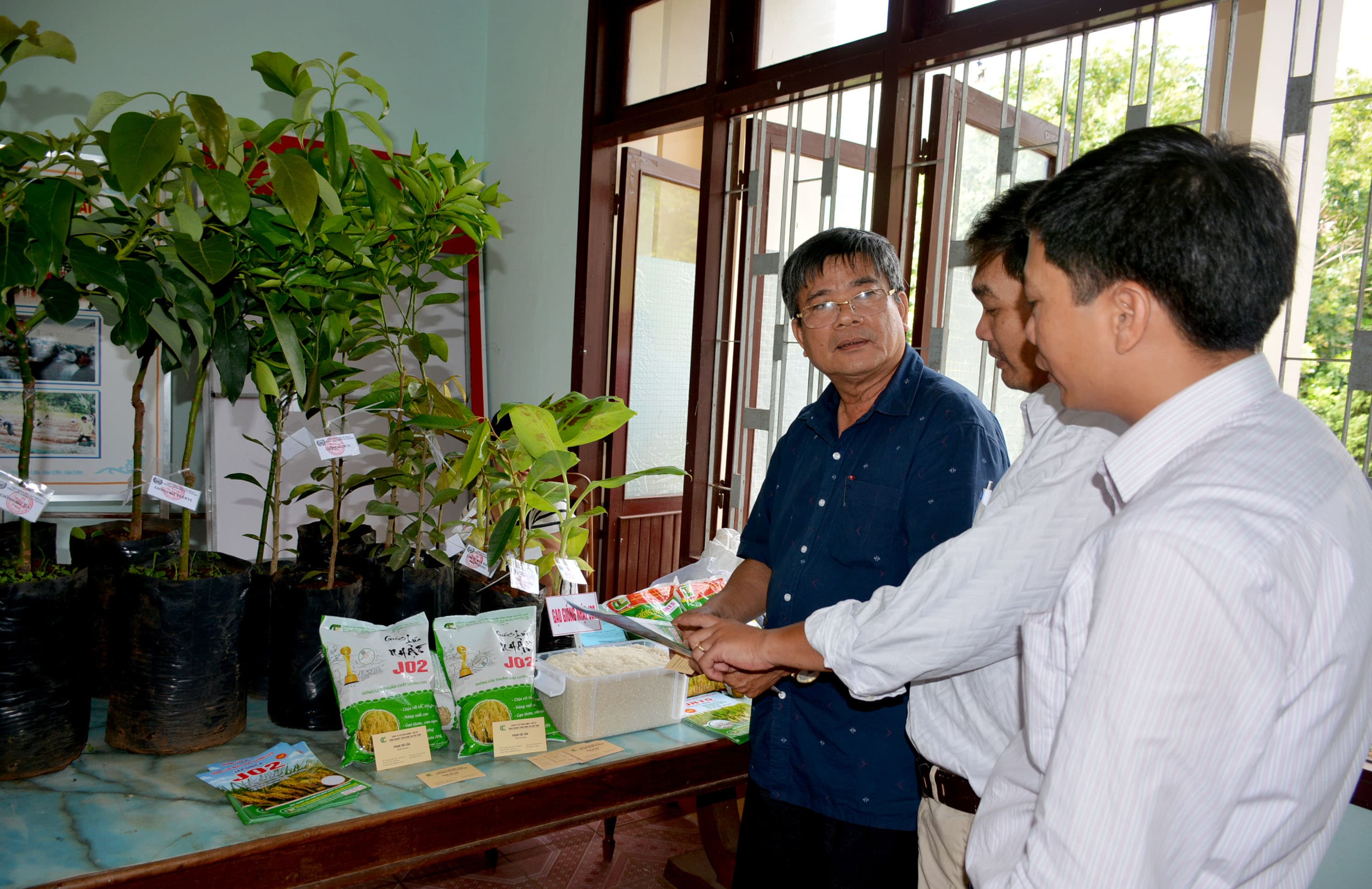 Gia Lai: Định hướng quy hoạch phát triển cây ăn quả đến năm 2021