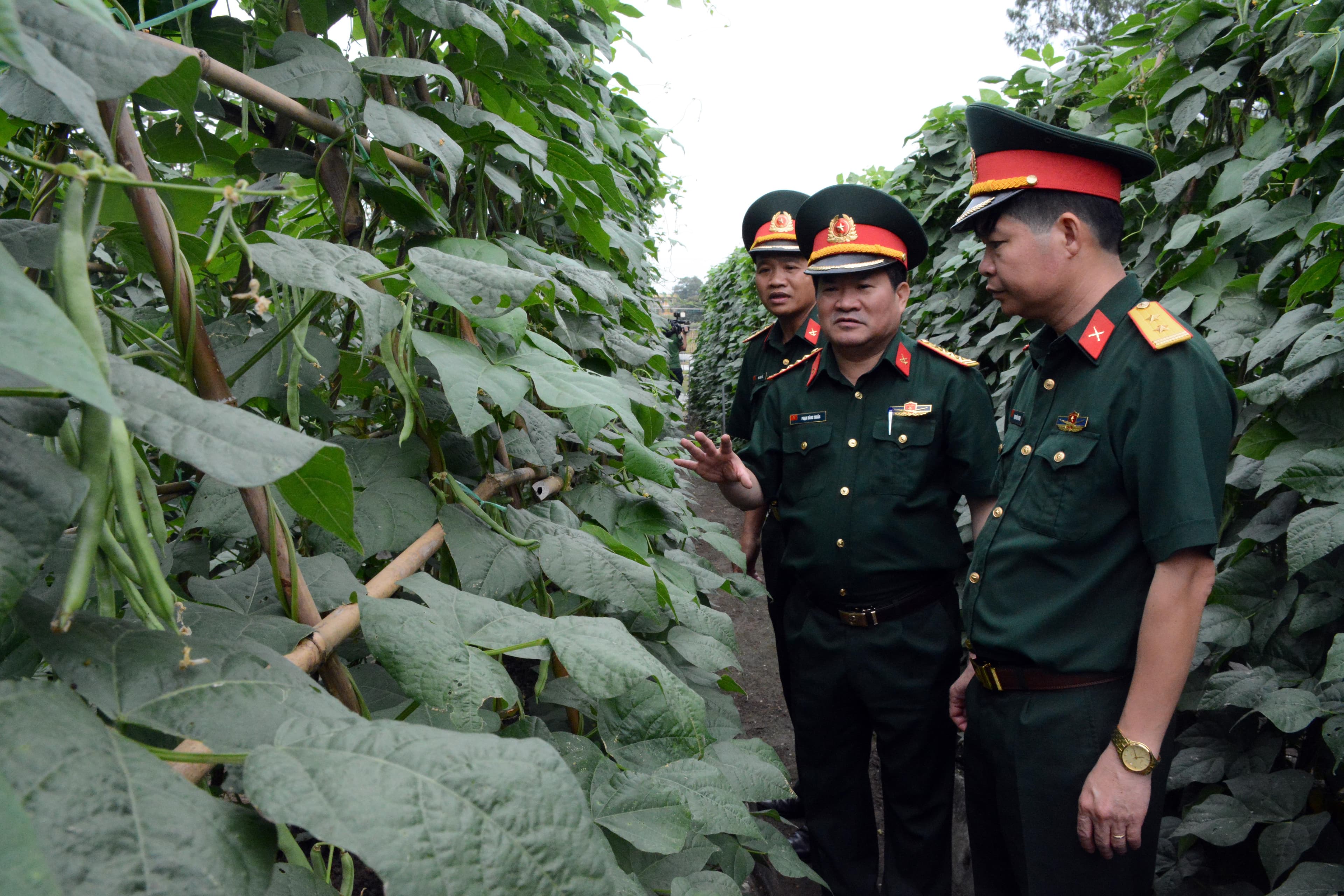 Tạo động lực thi đua bảo đảm hậu cần