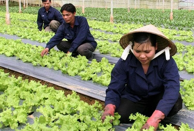 Lan tỏa từ Phong trào "Gió Đại Phong"