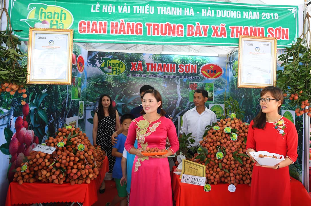 Thanh Hà mùa vải chín