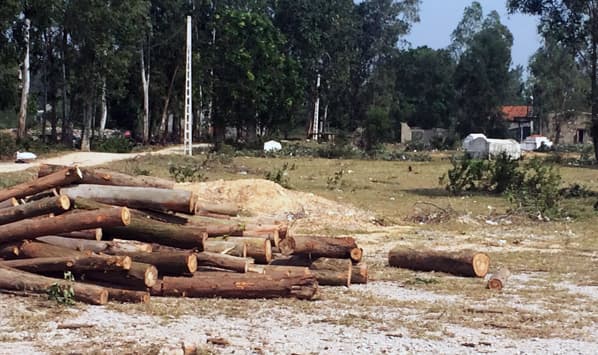 Bộ Công Thương đề xuất giao Dự án Nhà máy Nhiệt điện Quỳnh Lập I cho Geleximco