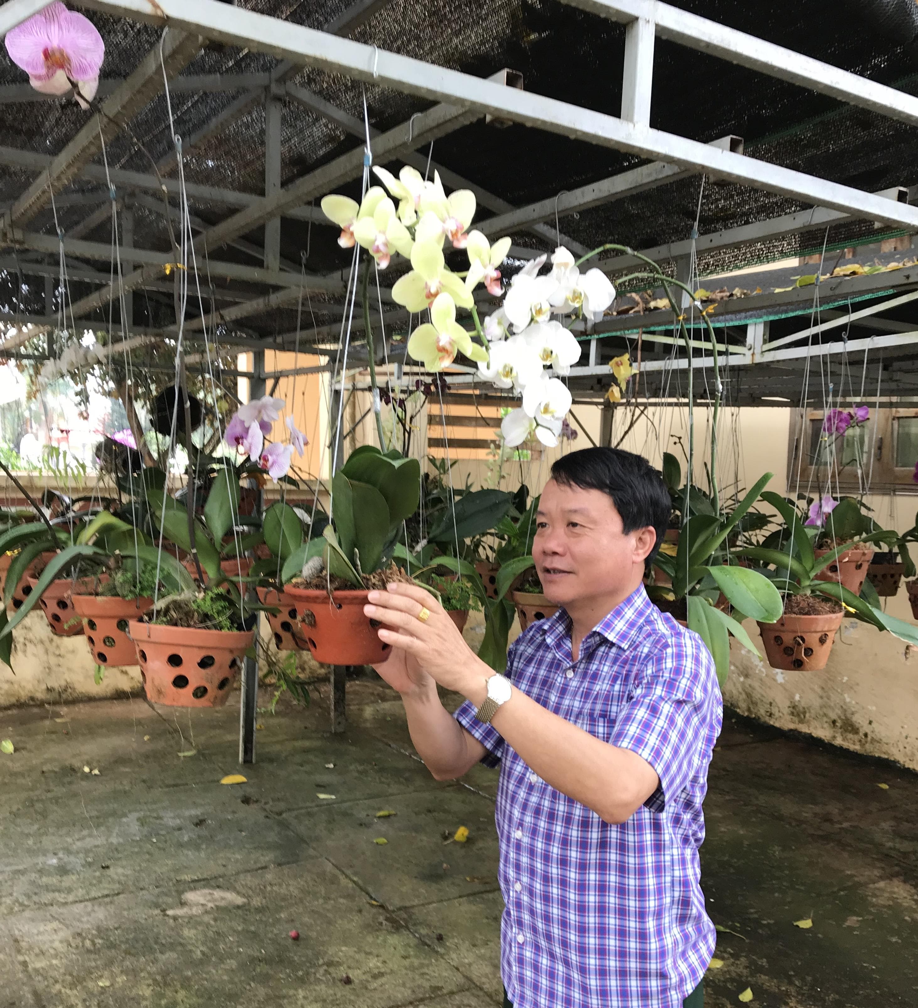 "Vườn lan Chính ủy”