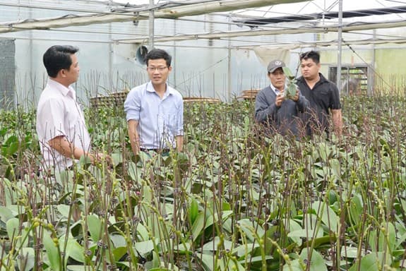 Phát triển công nghệ cao và sản phẩm an toàn khu vực miền Trung - Tây Nguyên
