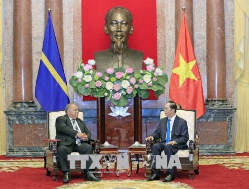 Chủ tịch nước Trần Đại Quang tiếp Tổng thống Cộng hòa Nauru và Đại sứ Vương quốc Na Uy
