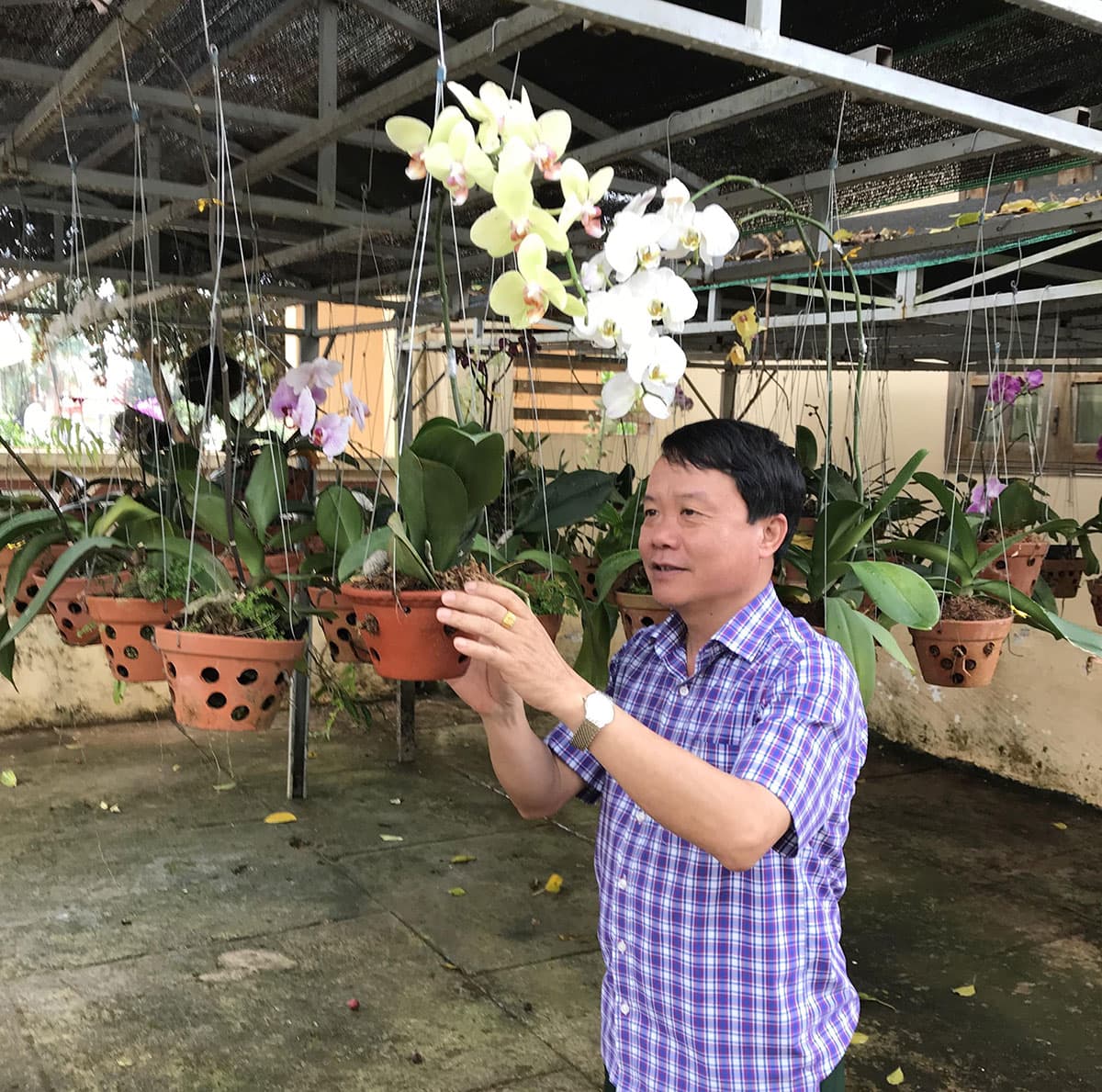 "Vườn lan Chính ủy”