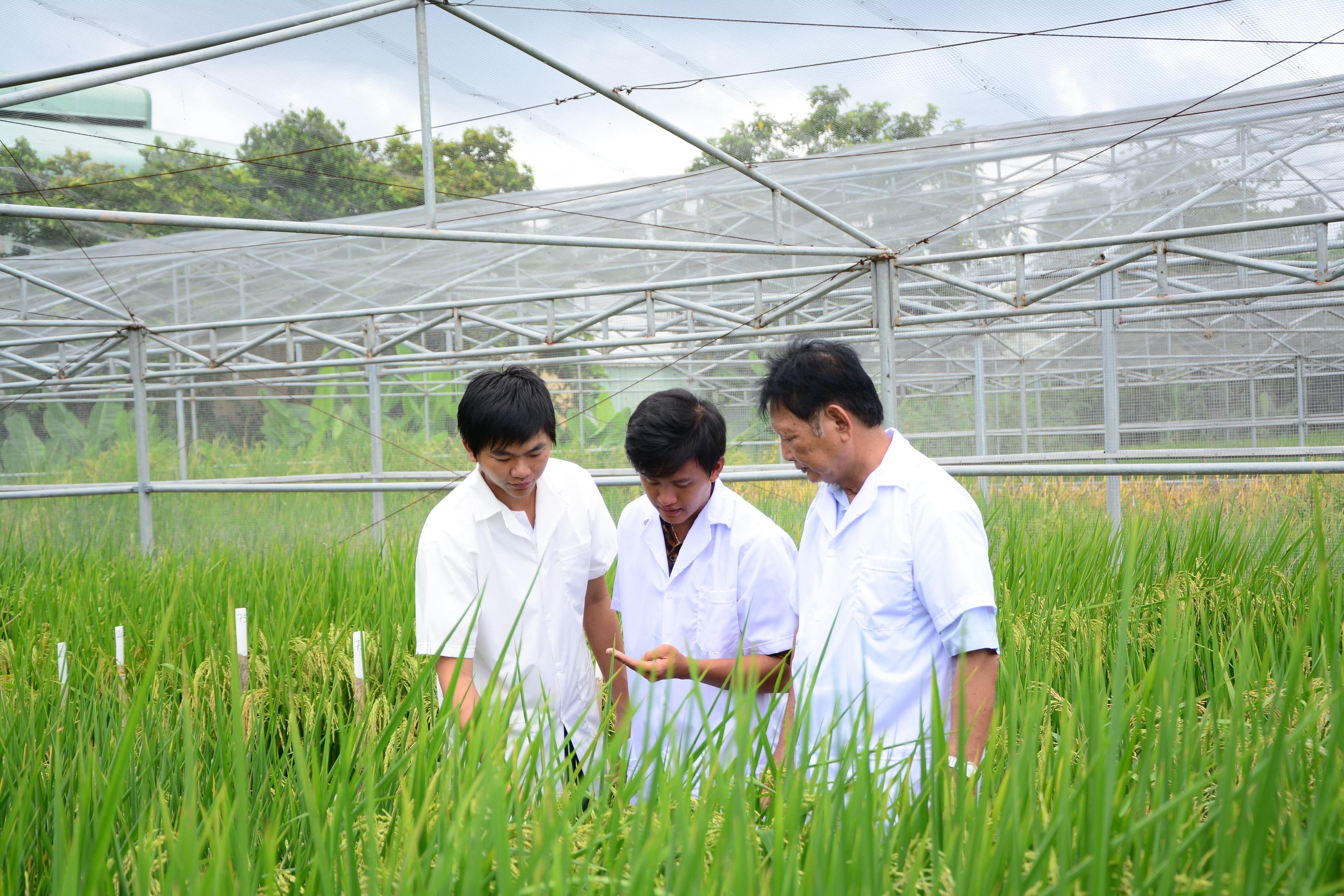 Đổi mới sáng tạo là then chốt của phát triển bền vững