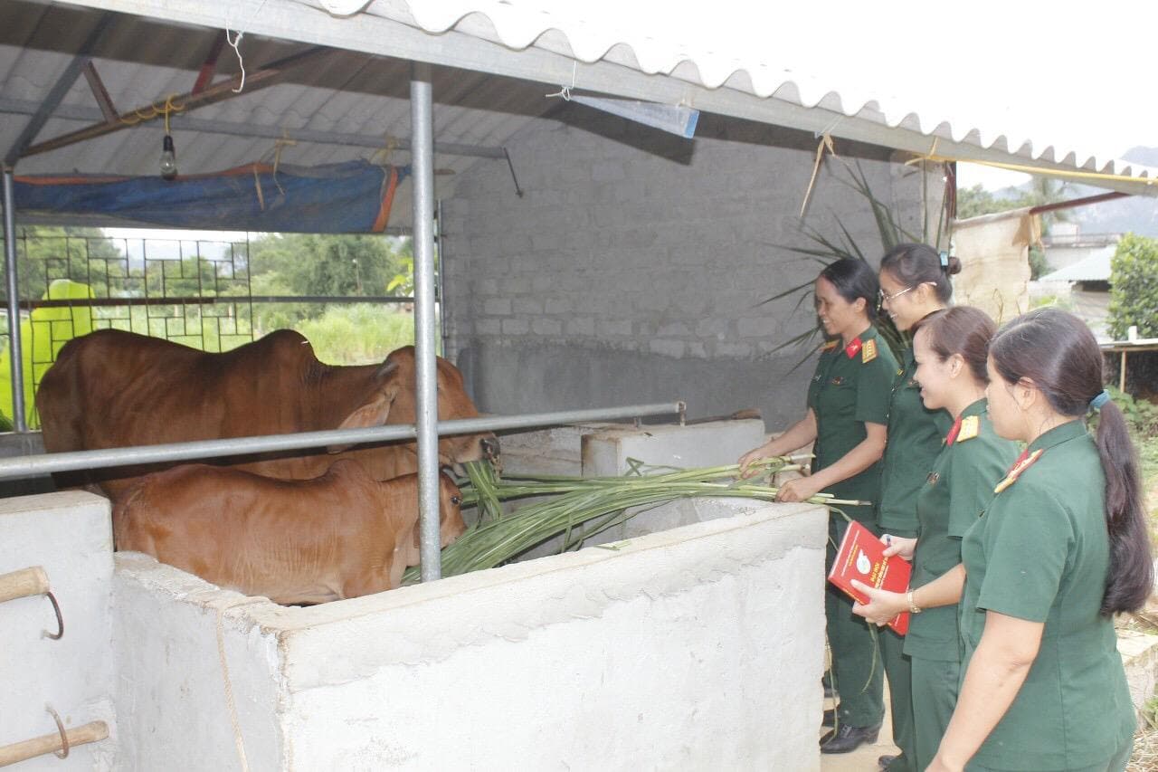 Hiệu quả từ mô hình “Phụ nữ tiết kiệm giúp nhau"