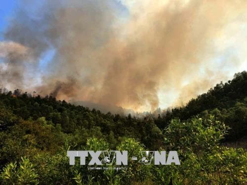 Thanh Hóa: Cháy lớn thiêu rụi gần 10ha rừng trồng ở xã Châu Lộc