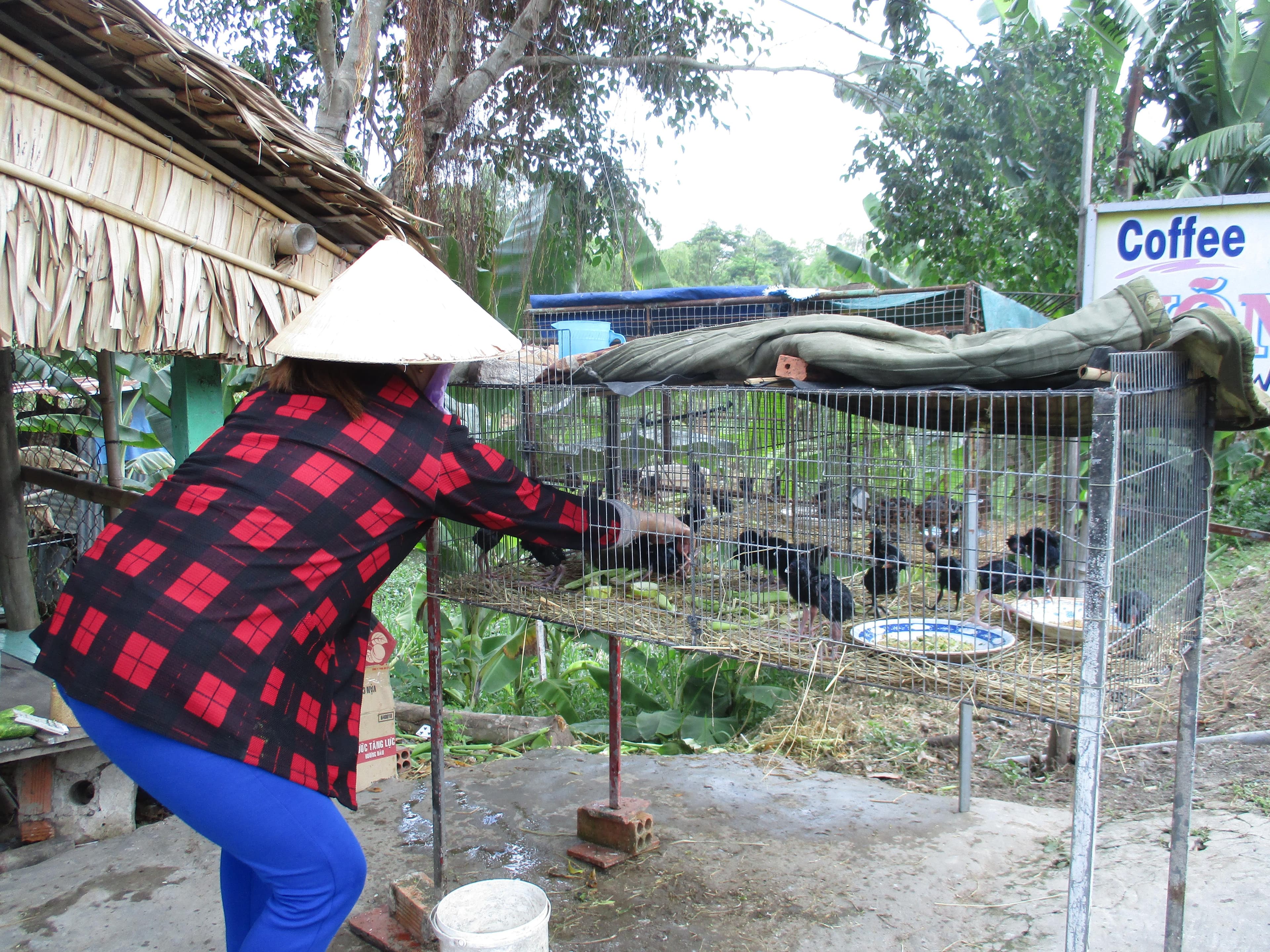 Điểm bán chim trích cồ trái phép