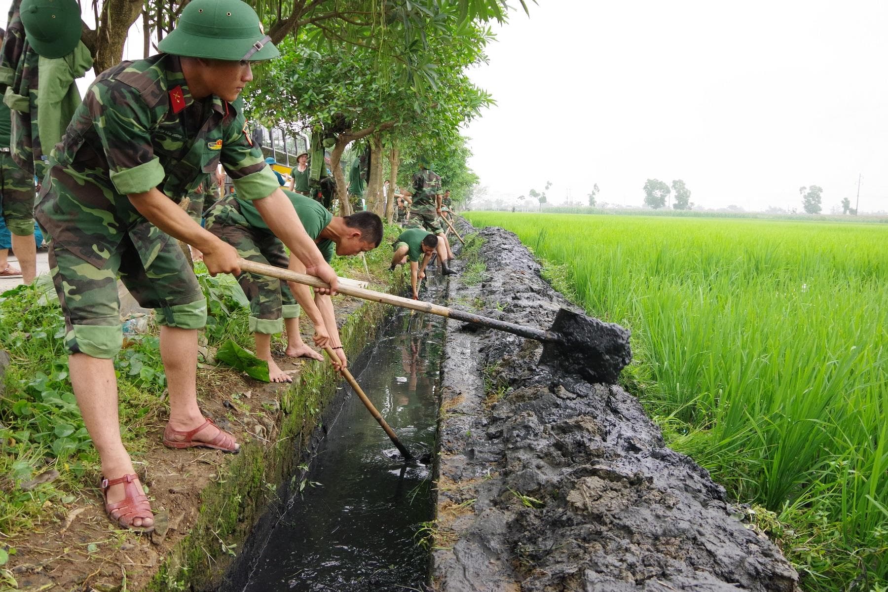 Mong các anh lại về giúp dân