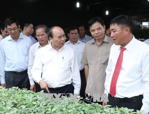 Thủ tướng Nguyễn Xuân Phúc thăm mô hình sản xuất rau an toàn tại Lâm Đồng
