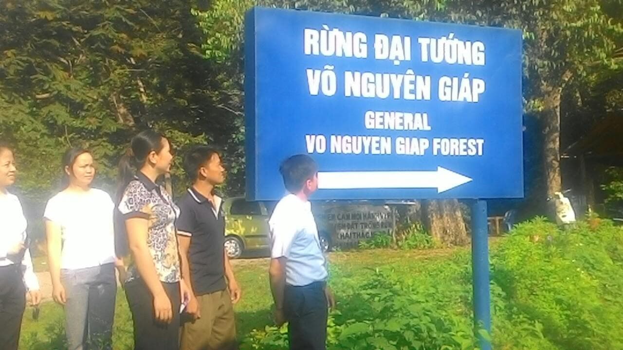 Rừng Đại tướng trên đỉnh Phù Yên