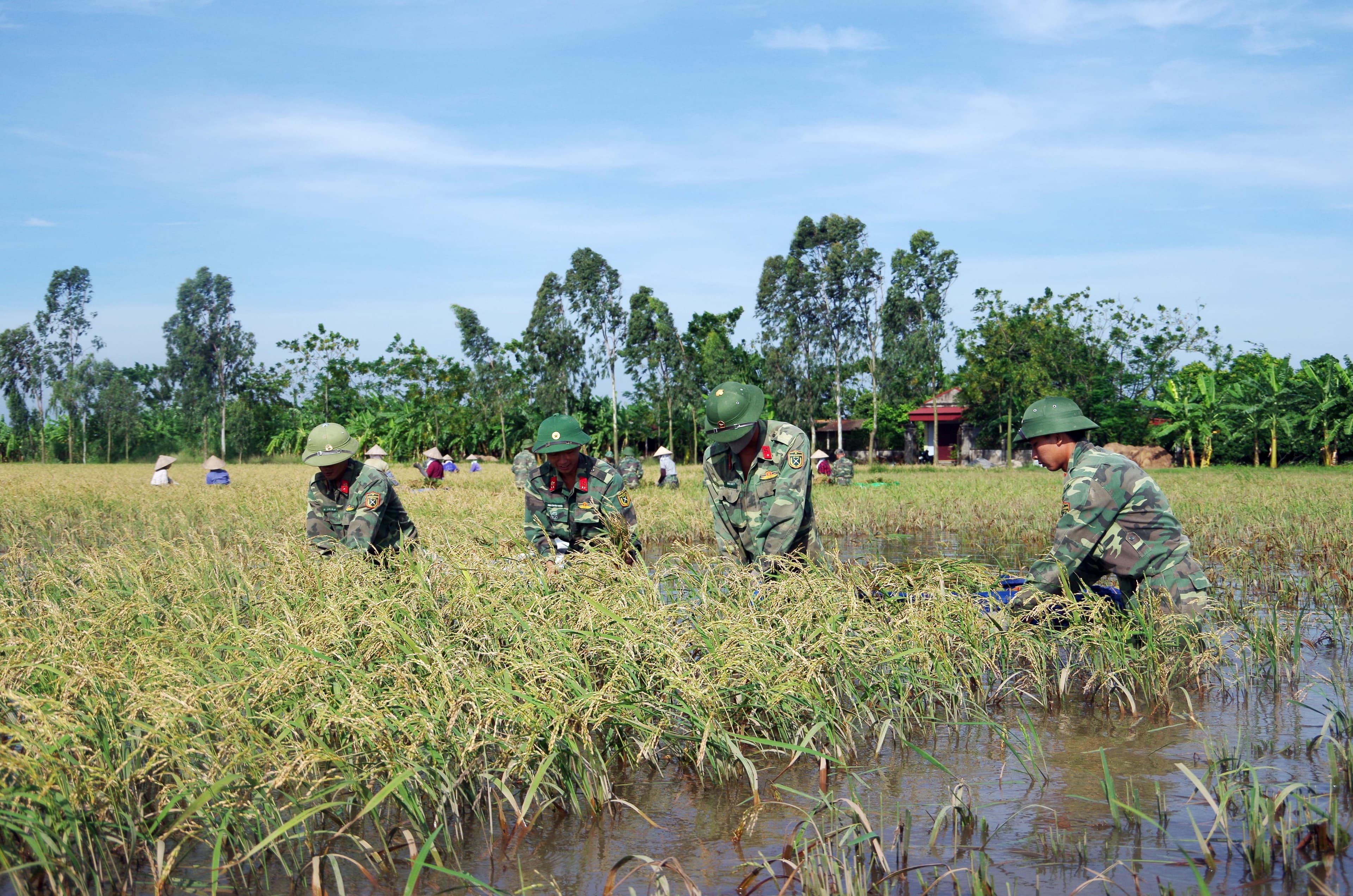 Thực hiện hiệu quả 3 khâu đột phá trong Phong trào Thi đua Quyết thắng