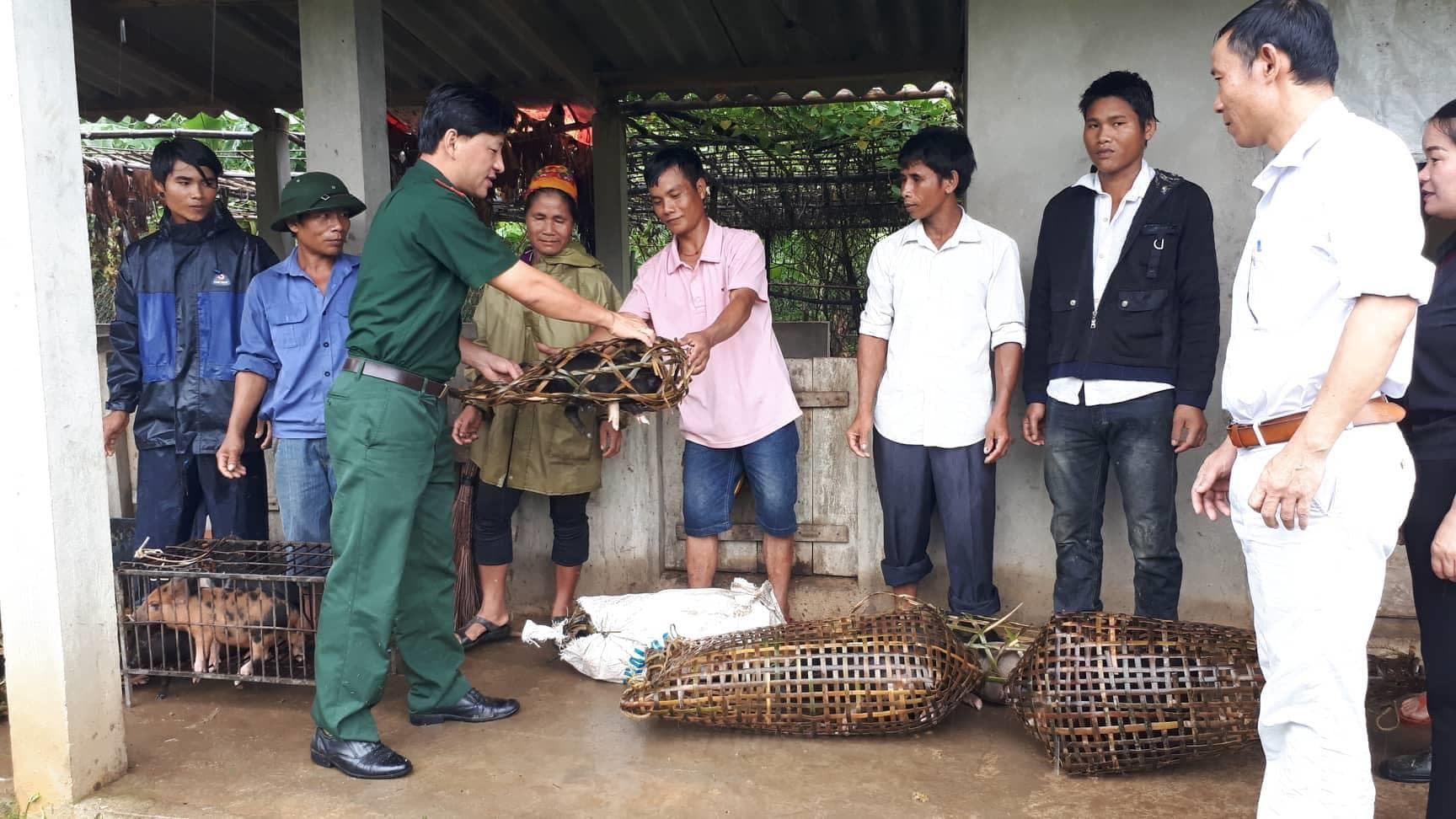 Bộ đội tặng lợn giống tới các hộ nghèo xã Môn Sơn