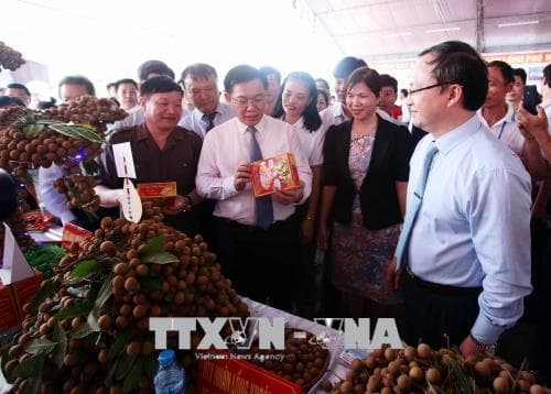 Hội nghị xúc tiến thương mại nhãn và nông sản tỉnh Hưng Yên năm 2018