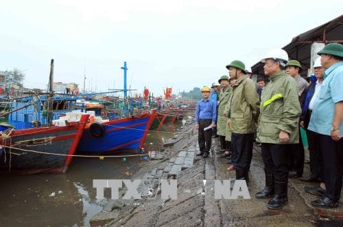 Ứng phó bão số 4: Bảo đảm an toàn cho các tuyến đê biển