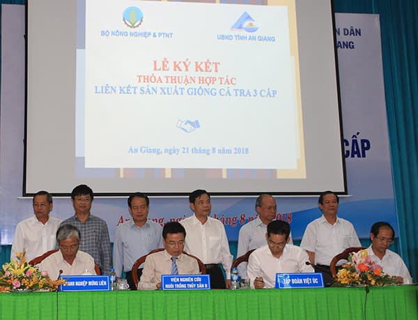 Sơ kết sản xuất, tiêu thụ cá tra và triển khai Đề án giống cá tra 3 cấp