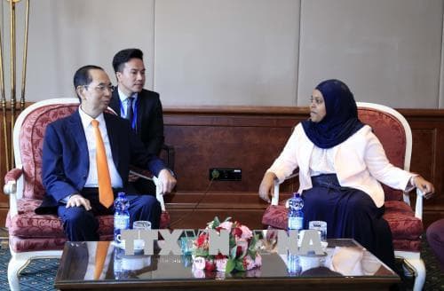 Chủ tịch nước Trần Đại Quang hội kiến Chủ tịch Thượng viện Ethiopia