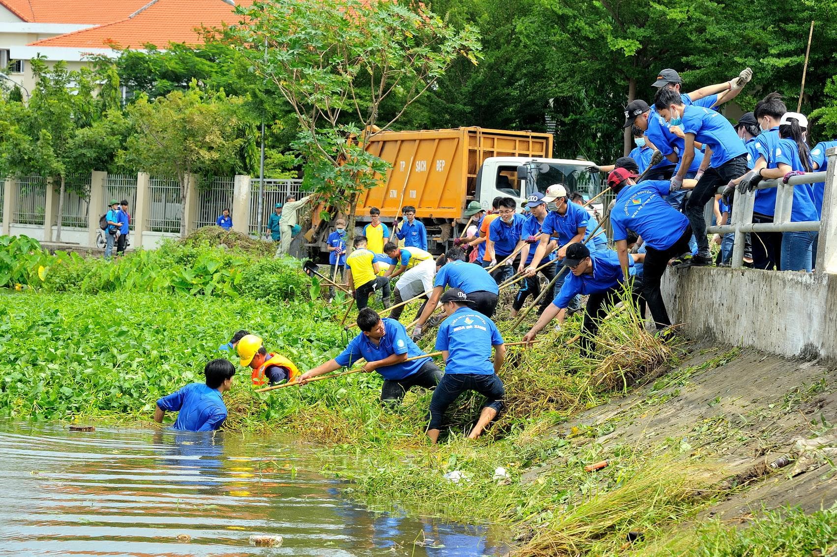 Những ngày hè cống hiến, trưởng thành