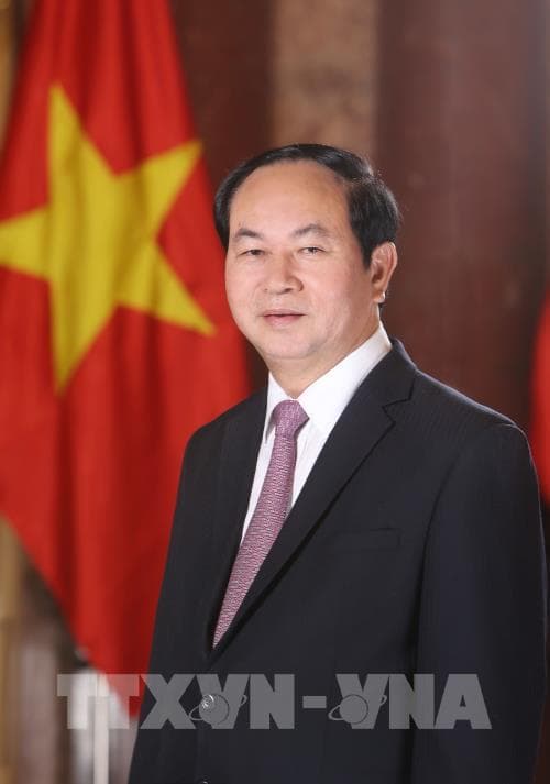 Quan hệ hữu nghị, hợp tác giữa Việt Nam và Ai Cập phát triển mạnh mẽ