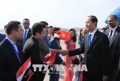 Chủ tịch nước Trần Đại Quang thăm Đại sứ quán Việt Nam tại Ai Cập