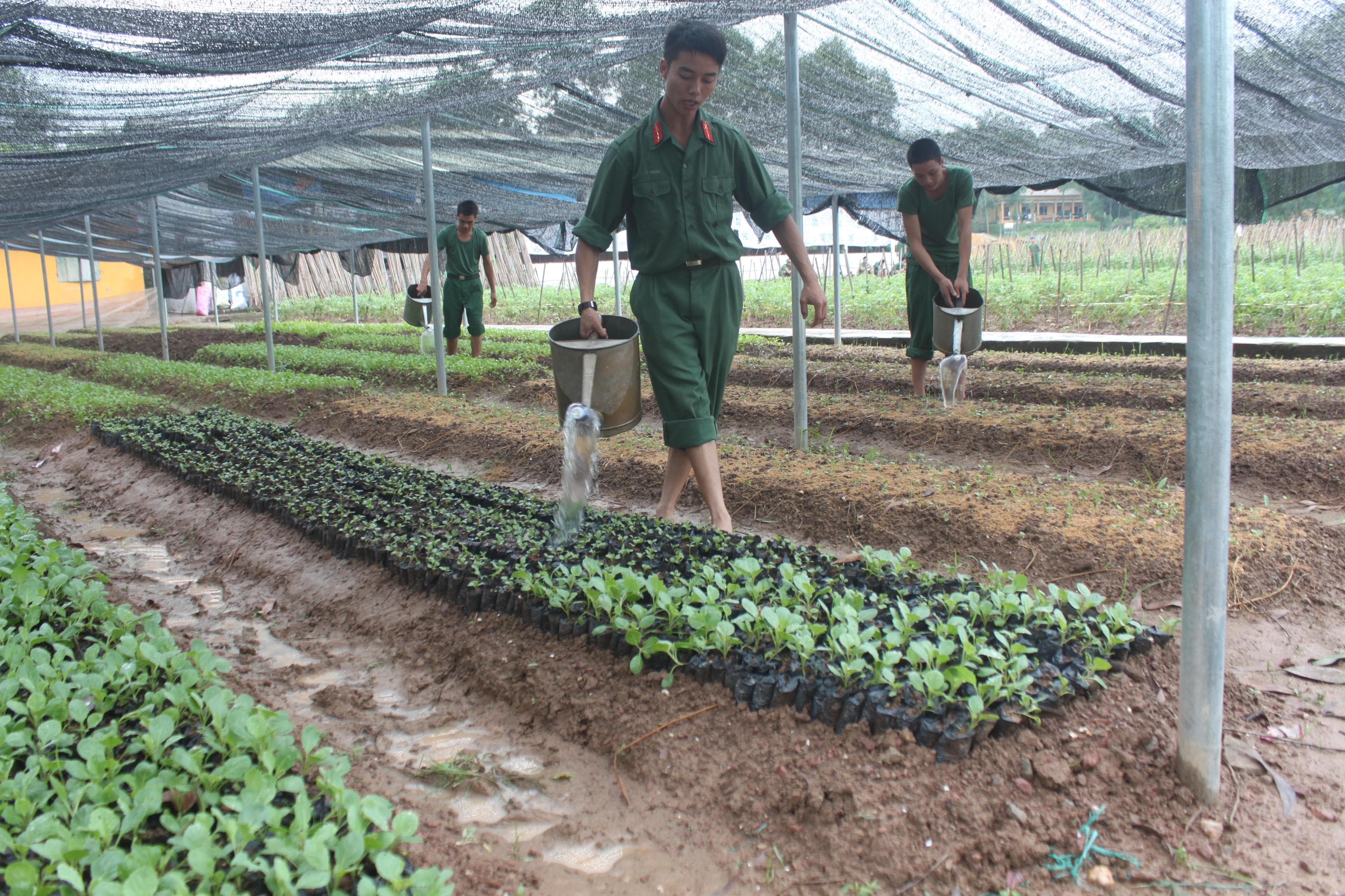Sư đoàn Bộ binh 3 (Quân khu 1): Quản lý chặt chẽ, đồng bộ công tác quân nhu