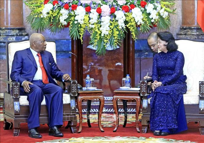 Quyền Chủ tịch nước Đặng Thị Ngọc Thịnh tiếp nguyên Tổng thống Mozambique