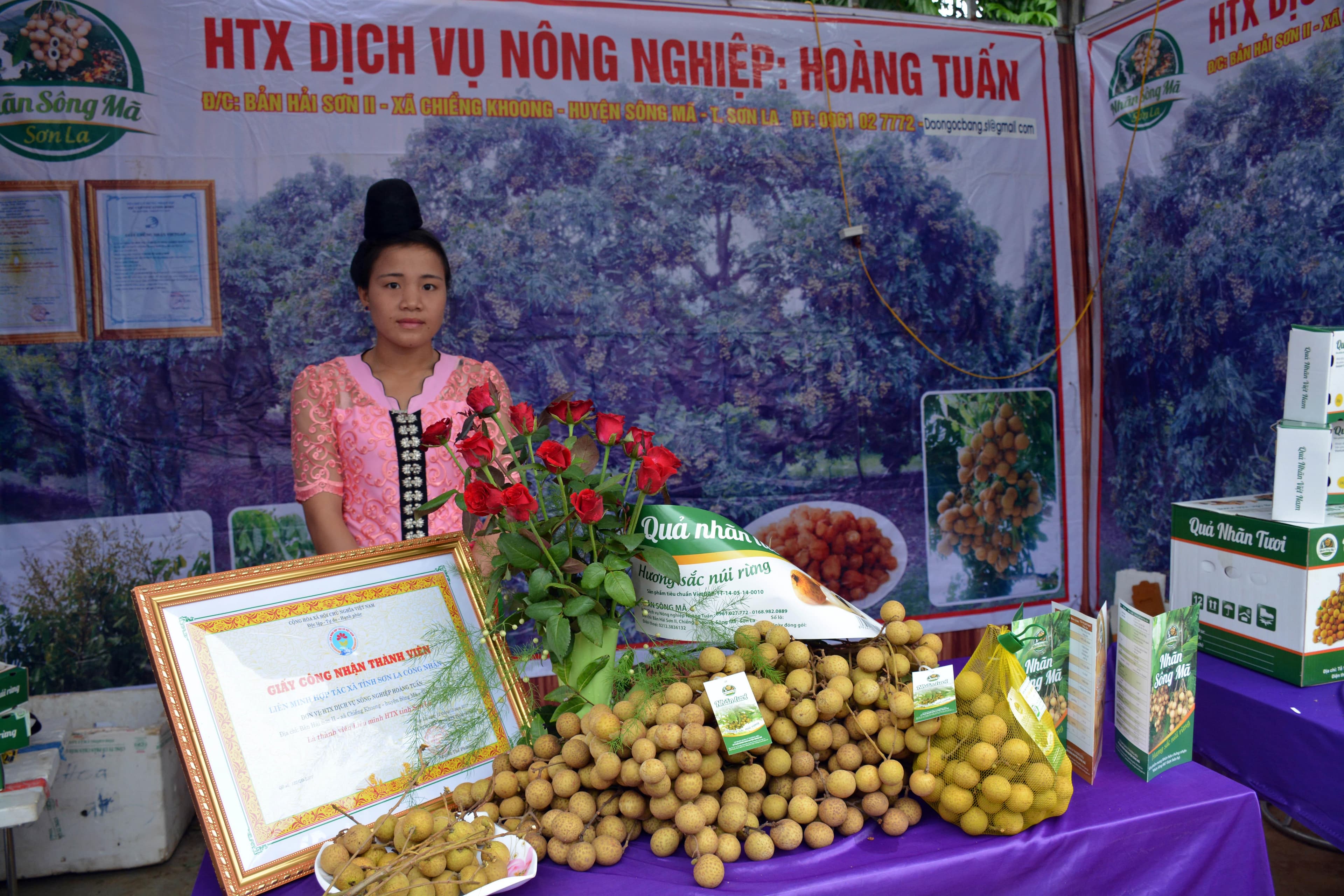 Nâng cao hiệu quả của các hợp tác xã