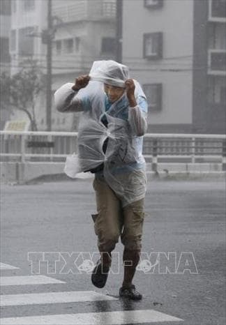 Nhật Bản: Bão Trami gây thiệt hại lớn ở thủ đô Tokyo