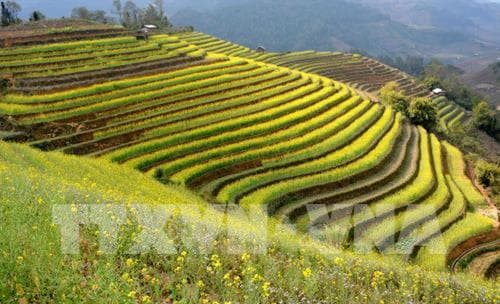 Tuần Văn hóa – Du lịch Mường Lò sẽ diễn ra từ 12 đến 14-10