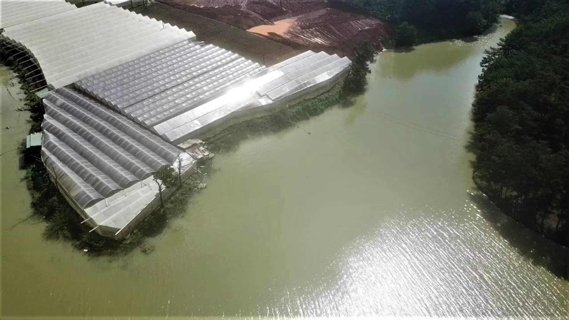 Lâm Đồng: Tạm giữ phương tiện san ủi trái phép tại hồ cấp nước sạch cho thành phố Đà Lạt