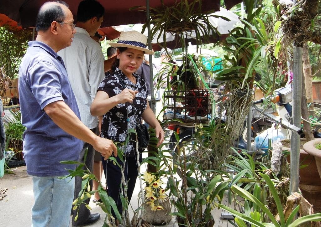 Độc đáo chợ phiên hoa lan