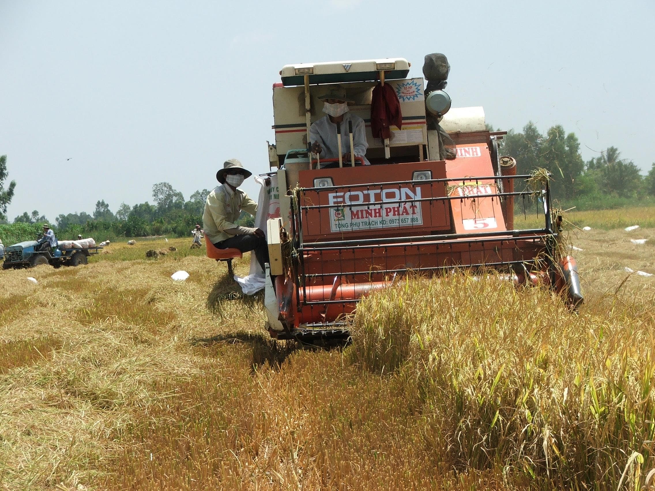 Động lực tăng trưởng kinh tế từ ngành nông nghiệp