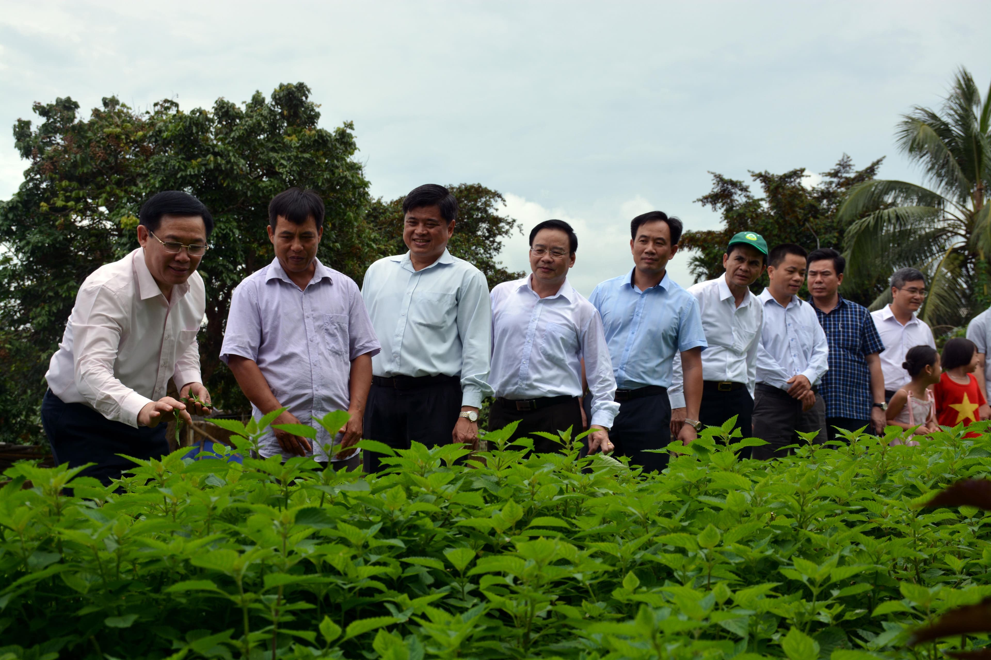 Ứng phó thiên tai để xây dựng nông thôn mới bền vững