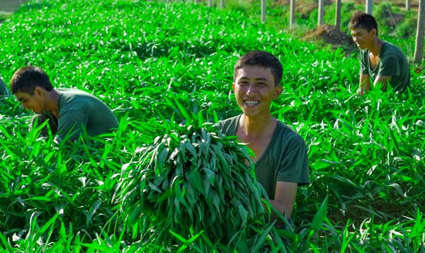 Mát mắt với khu tăng gia sản xuất của Trung đoàn 9