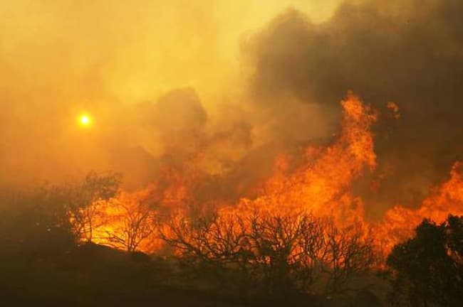 Thông tin về tình hình người Việt trong thảm họa cháy rừng tại bang California