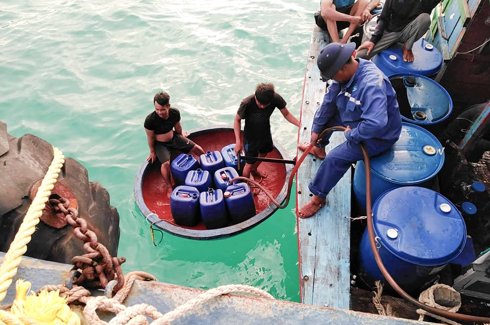 Ngư dân tránh trú bão số 9 tại Âu tàu đảo Sinh Tồn đã ra khơi đánh bắt hải sản