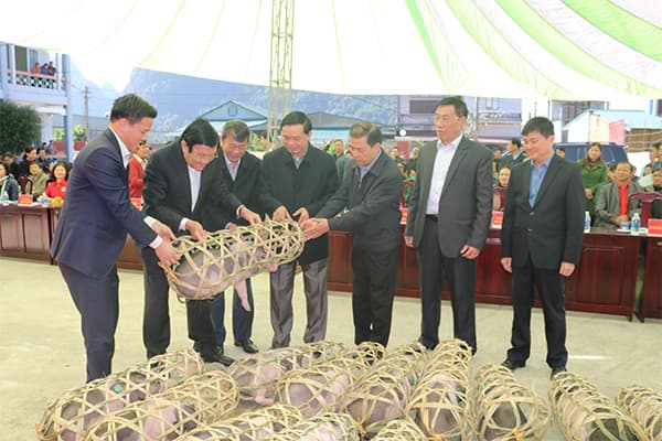 Nguyên Chủ tịch nước Trương Tấn Sang tặng quà đồng bào nghèo