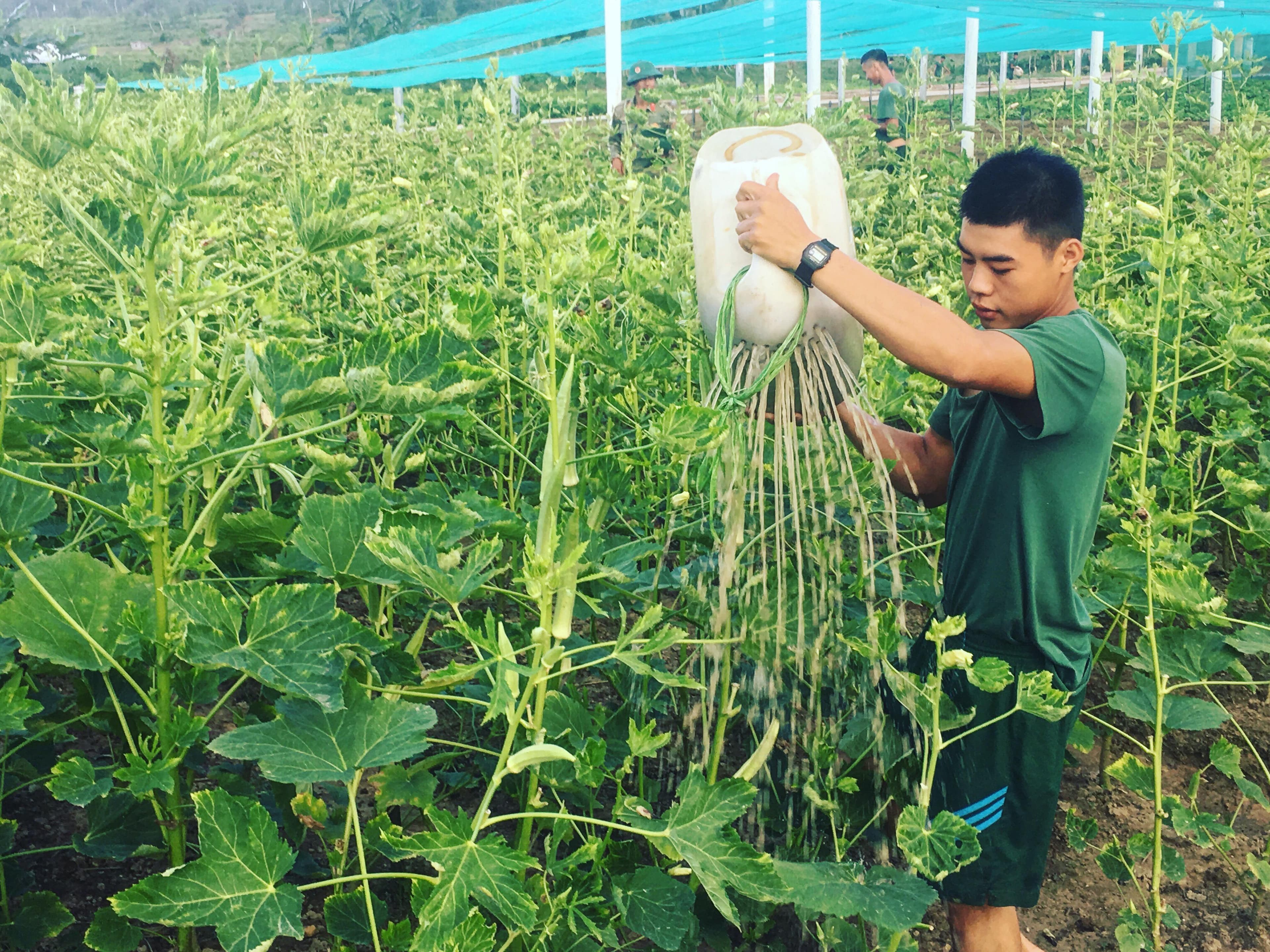 Trồng rau, nuôi cá ở Trung đoàn 19