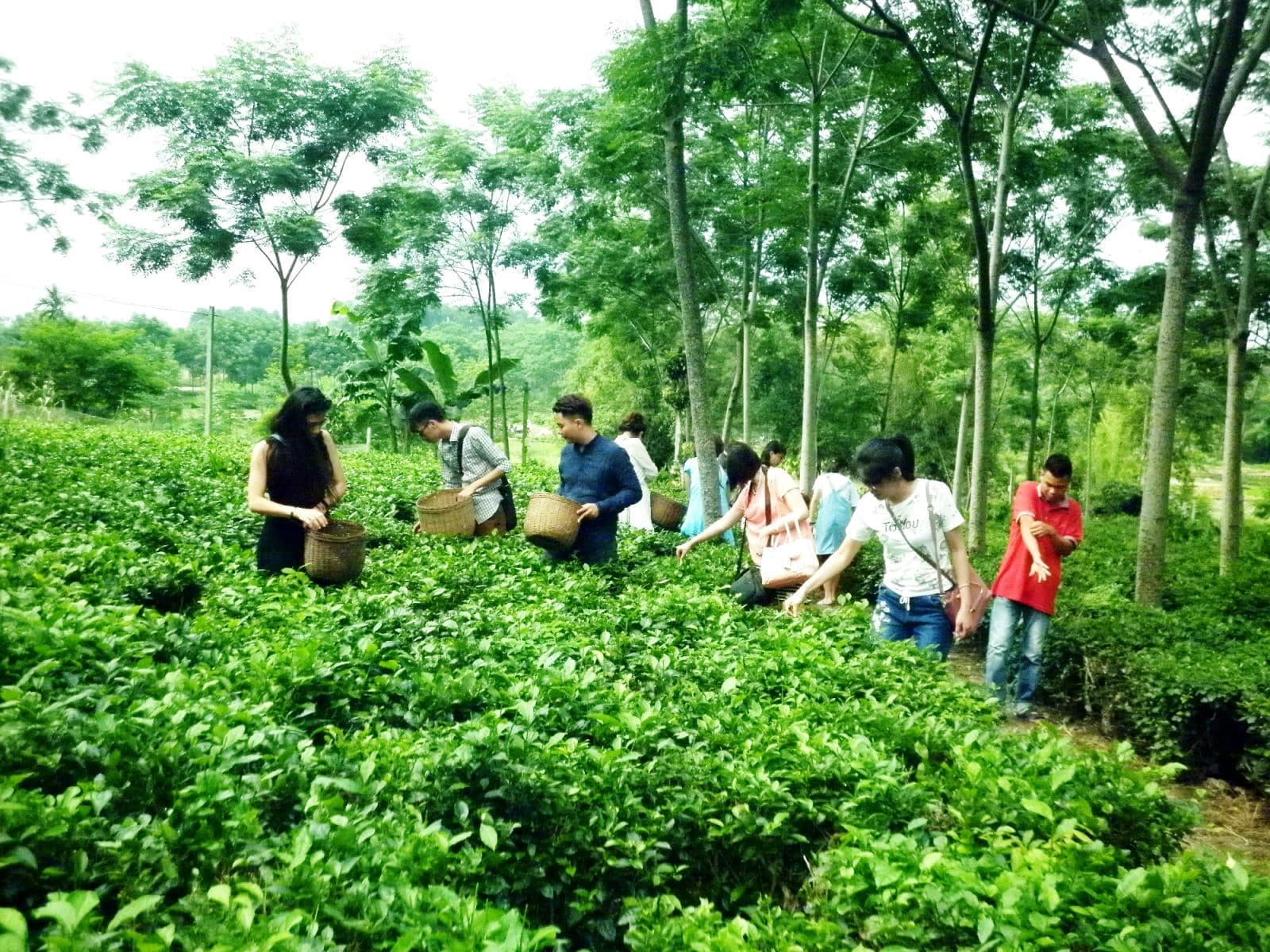 NHÀ QUÊ LÀM DU LỊCH