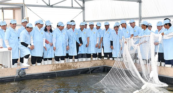 Thủ tướng Nguyễn Xuân Phúc thăm Khu sản xuất cá tra giống công nghệ cao tại An Giang