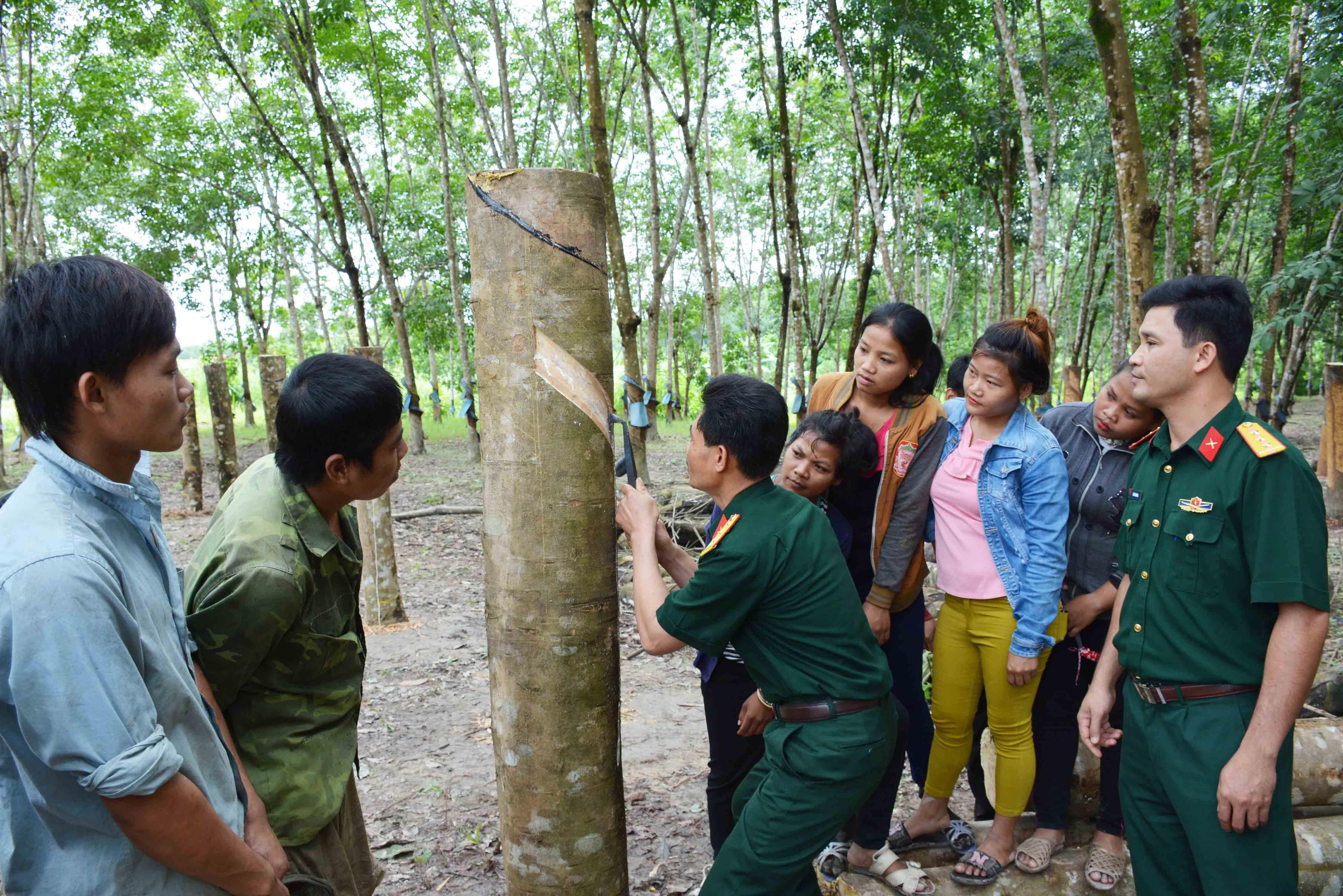 Vượt khó khăn, bảo đảm tốt nhiệm vụ kinh tế-quốc phòng