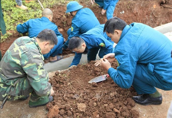 Phát hiện hài cốt và vũ khí vật liệu nổ tại Di tích Đồi A1, Điện Biên