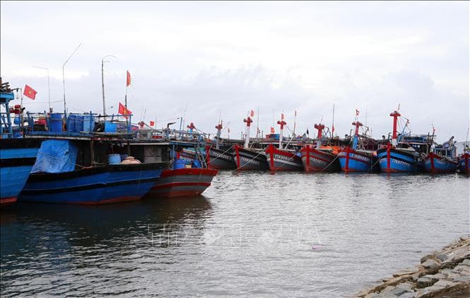 Cà Mau cấm biển từ 12 giờ ngày 1-1-2019