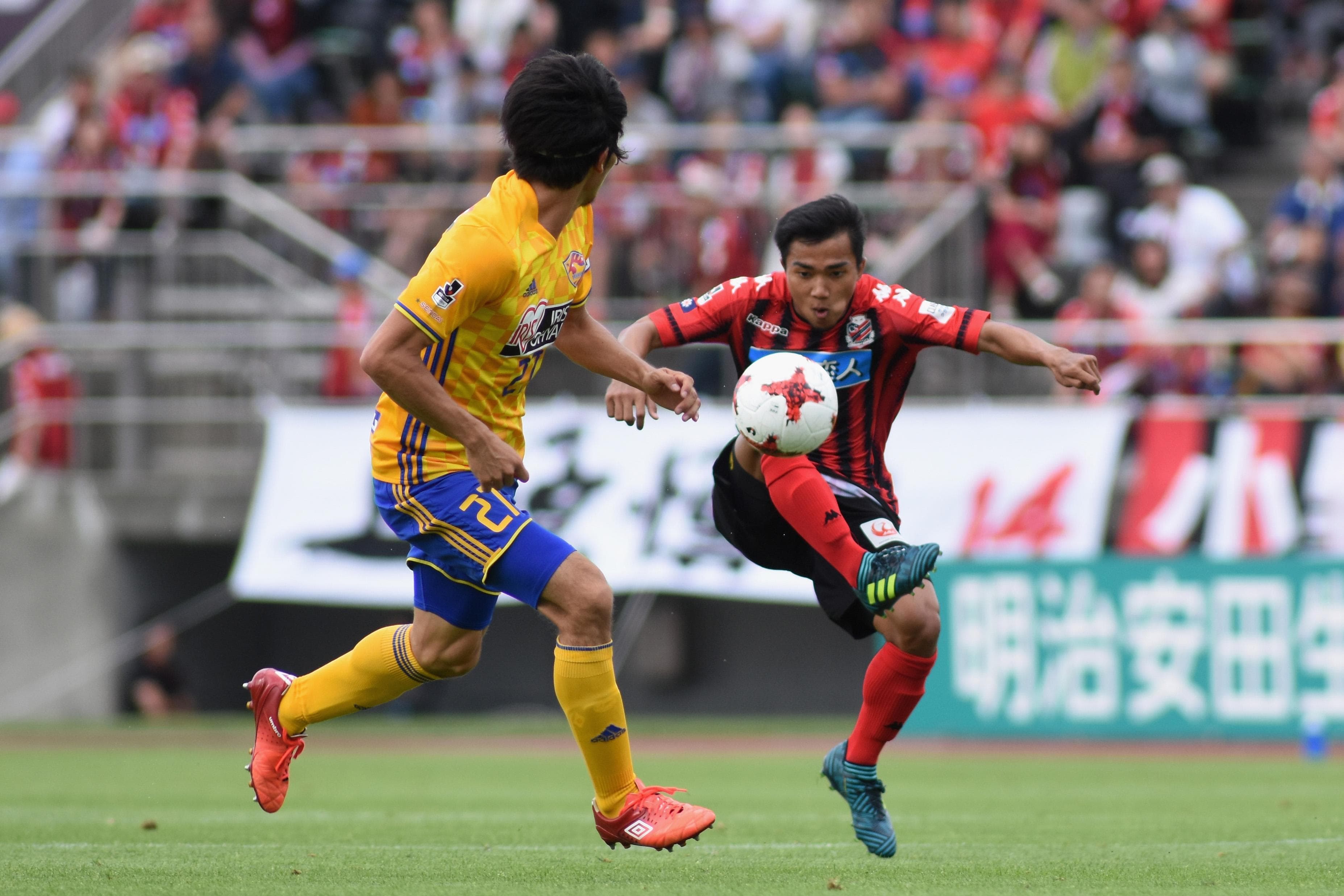 Milovan Rajevac sụt cân vì “Voi chiến” thua trận
