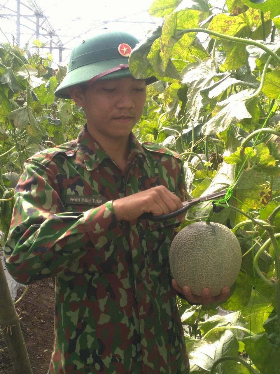 Mô hình tăng gia chất lượng cao