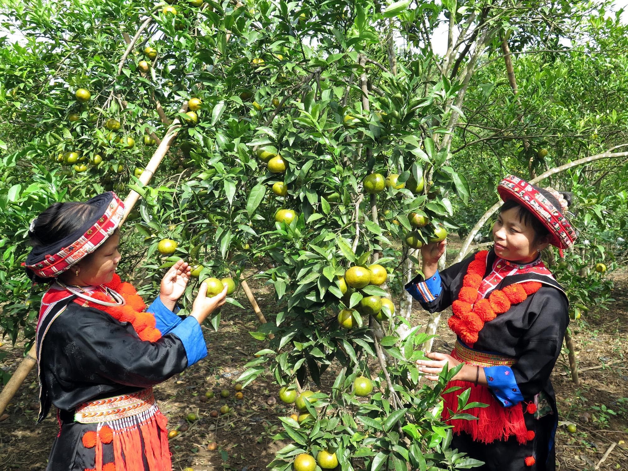 Diện mạo mới ở Phiêng An 2