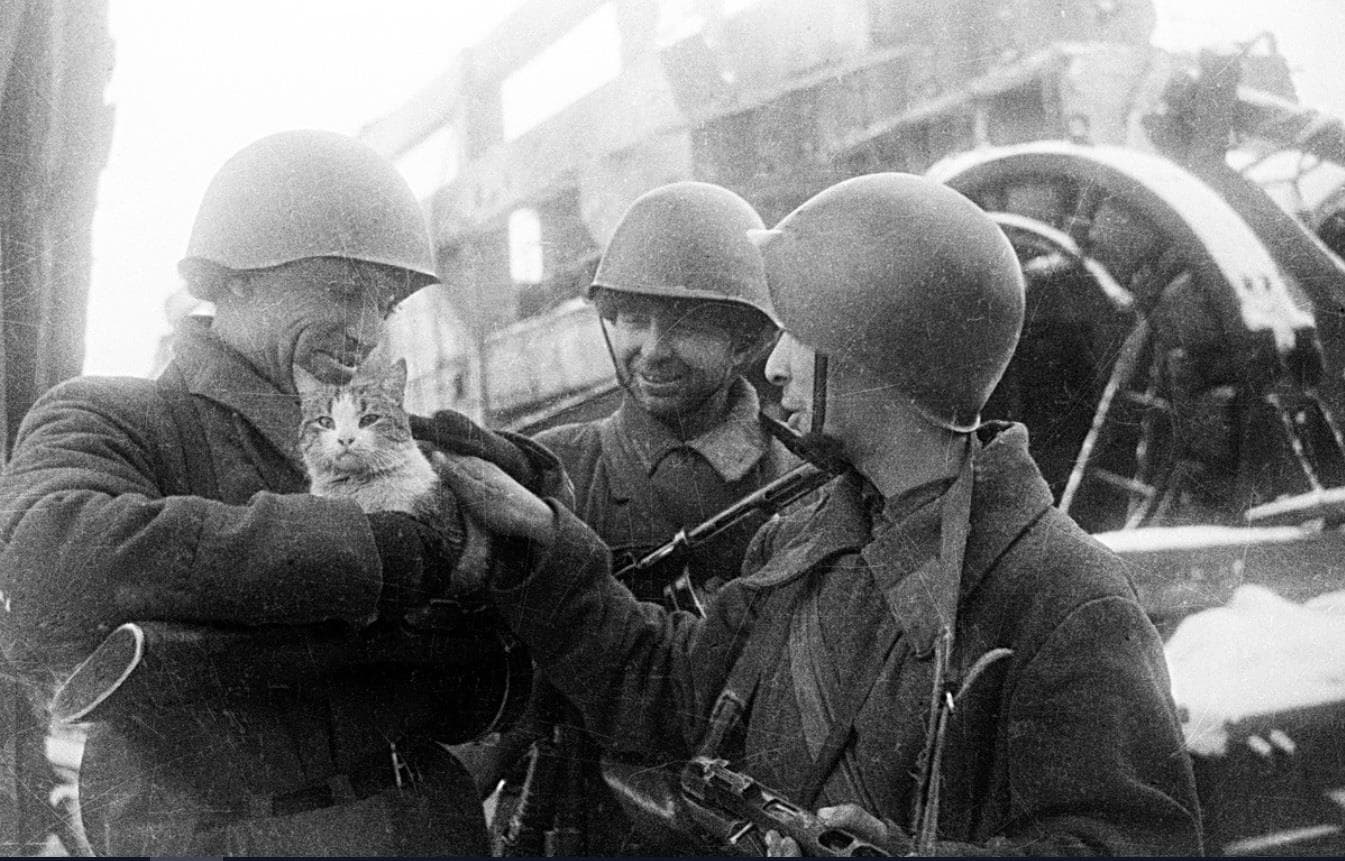 "Sư đoàn" đặc biệt trong trận giải vây Leningrad